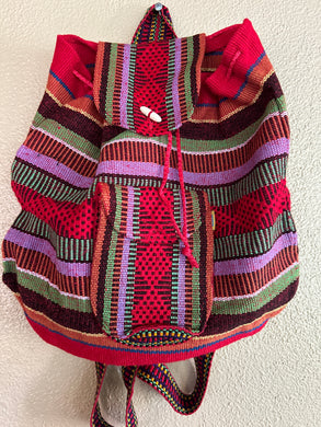 💚Pinzon backpack